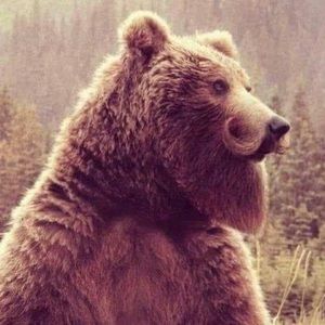 Meet your Posher, Jose rene